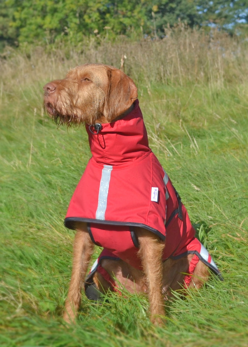 Dog waterproof coat uk best sale