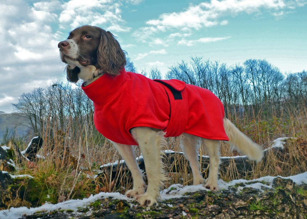 Dog drying coat made to measure Ness Fleece Microfibre Towelling