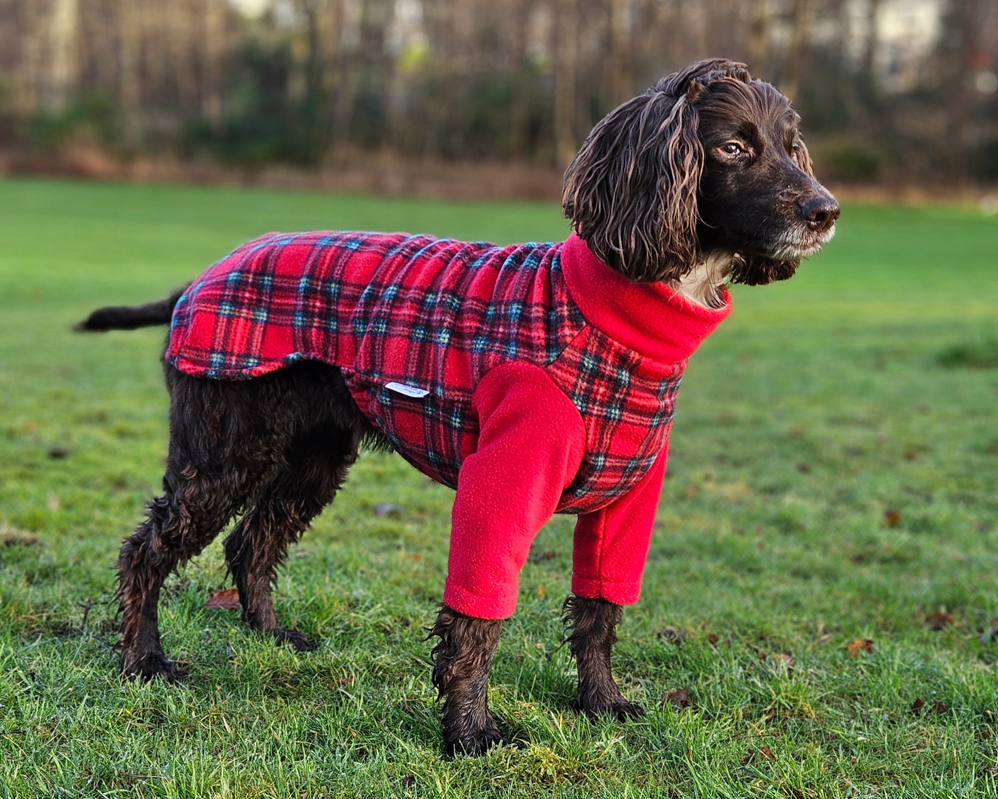 Dog Red Plaid Winter Coat Spotted Play Cozy Reversible Dog Jacket