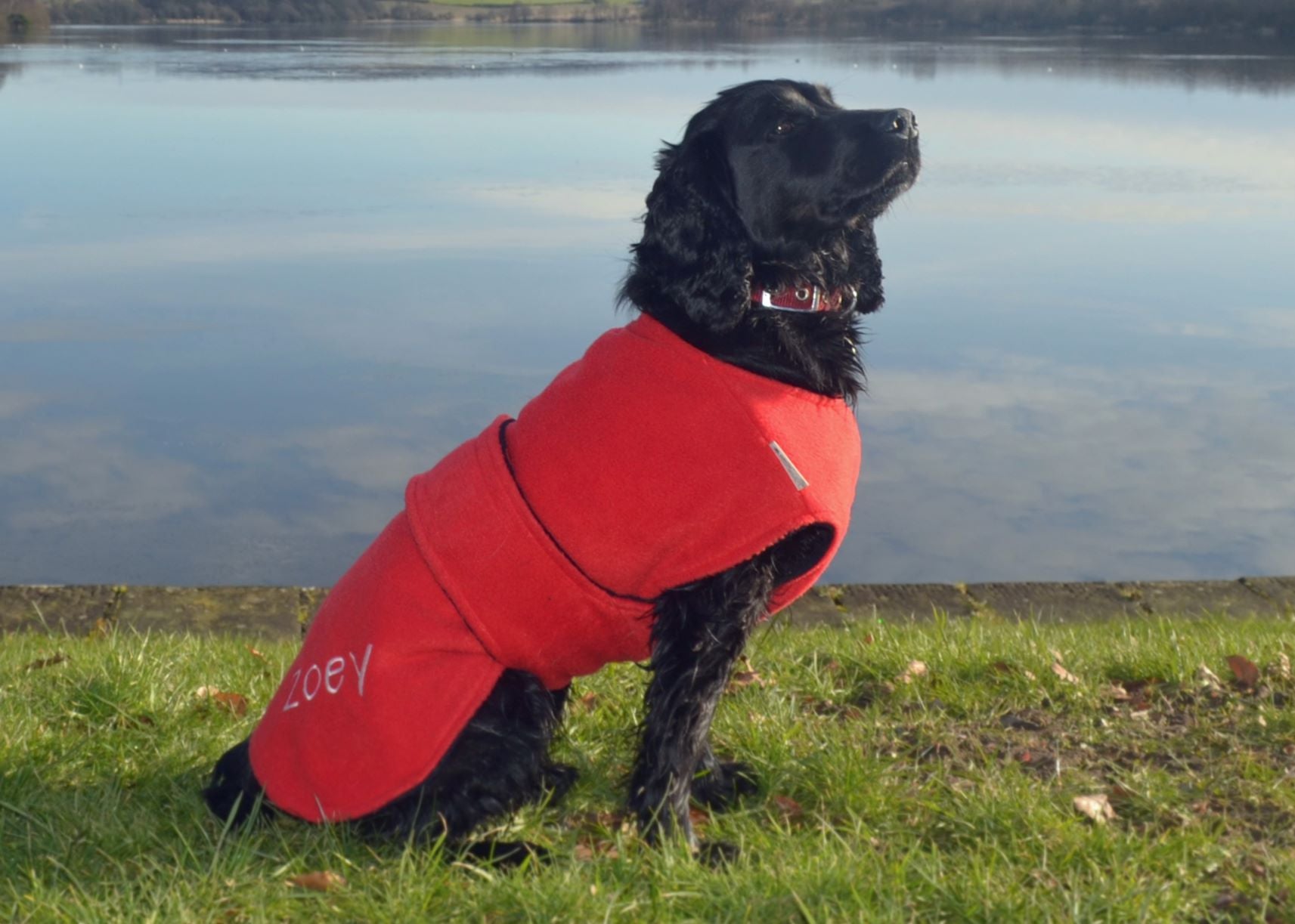 Drying coats clearance