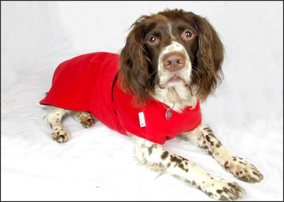 Freckles Underbelly Drying Coat