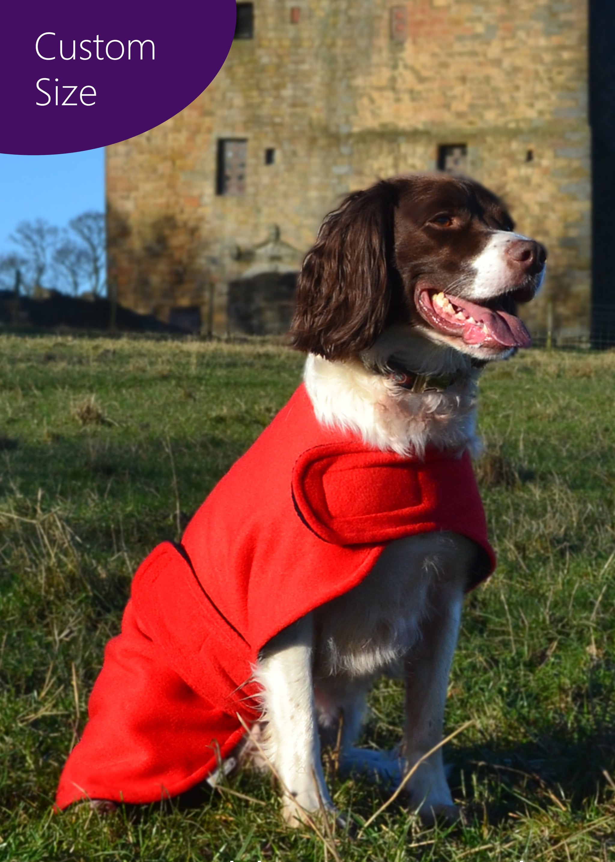 Custom dog coat 2025