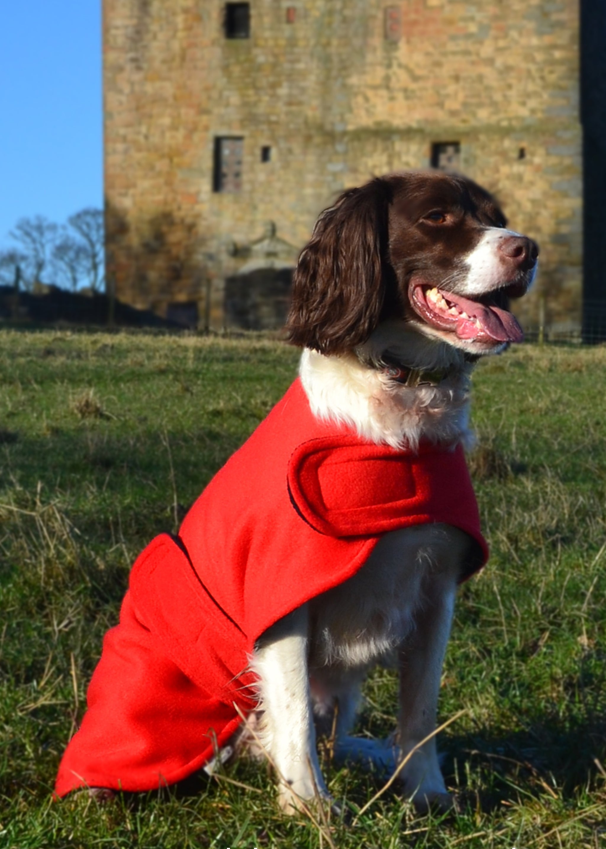 Lomond Original Dog Drying Coat with Microfibre Towel lining