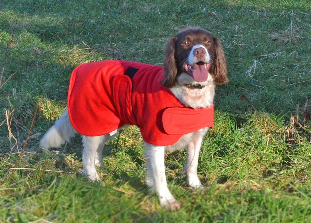 Freckles dog deals drying coats