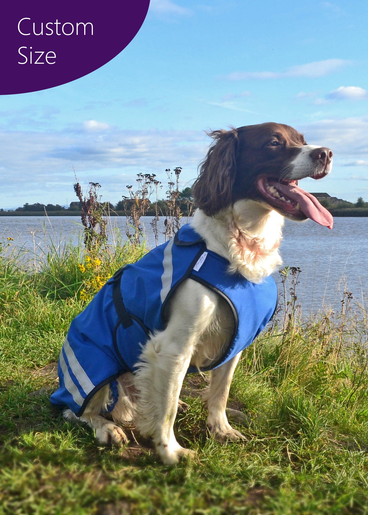 Personalised dog jackets shop