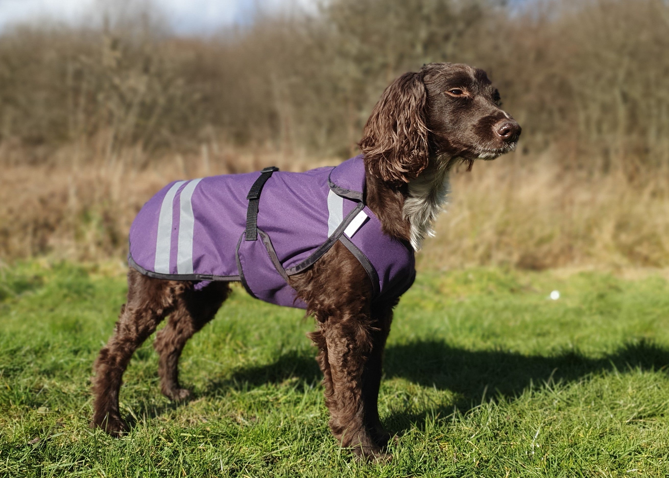Waterproof Jacket Dog Walking Clothing Uk MORLICH WATERPROOF COAT