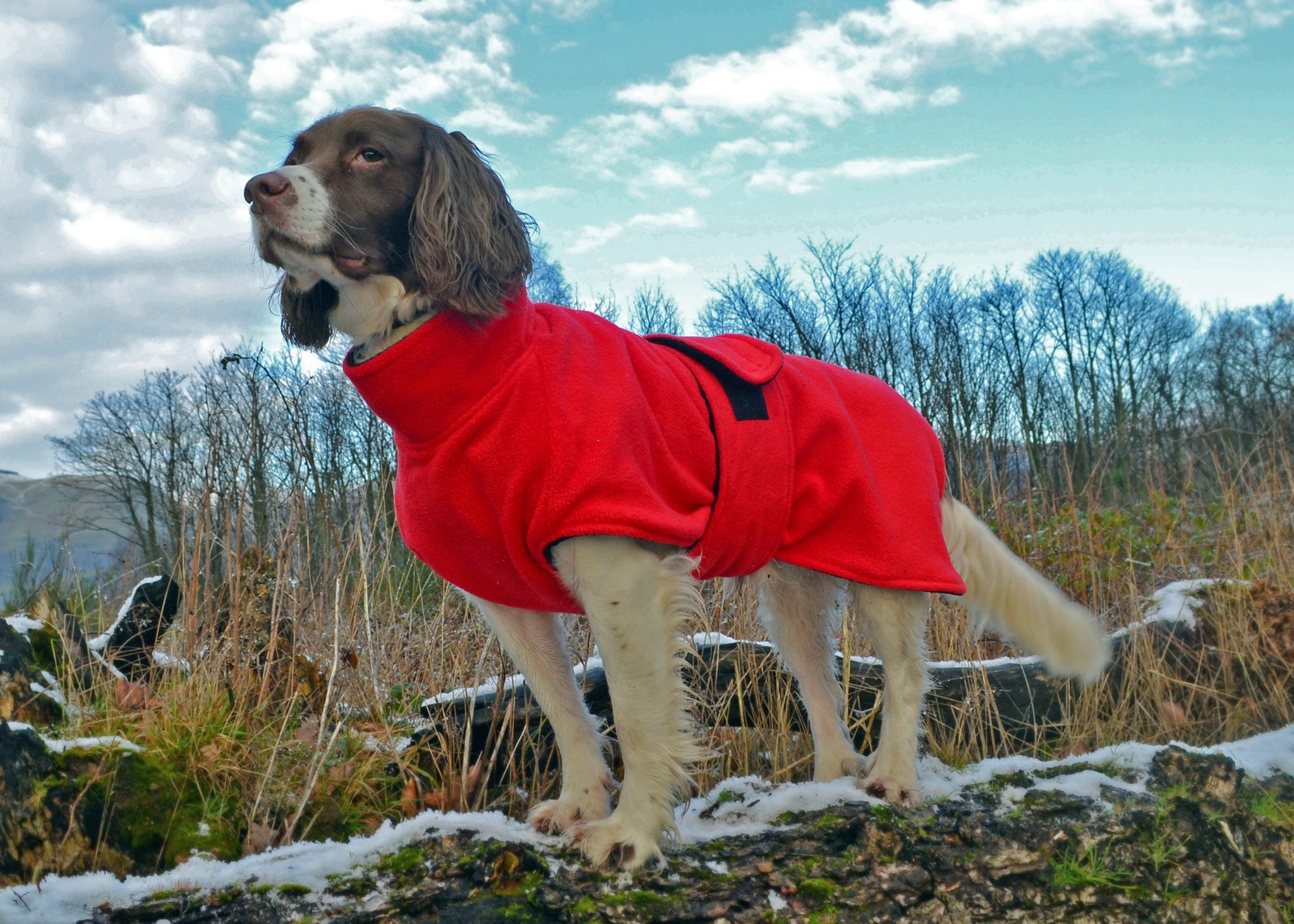 NESS DOG DRYING COAT RED